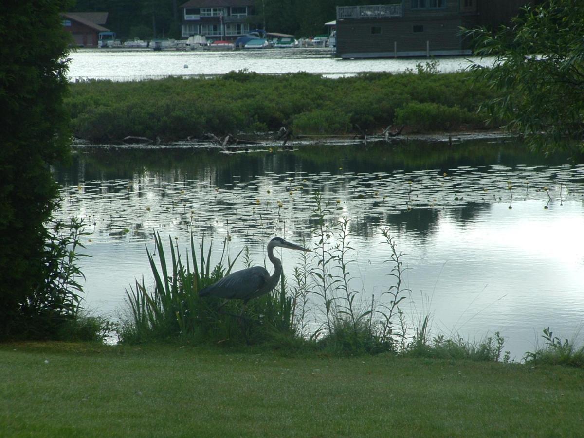 Wildwood On The Lake Lake Placid Exterior foto